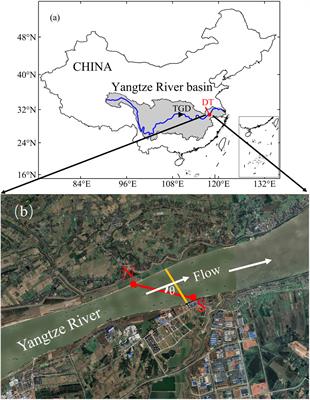 Effect of dam discharges and tides to transport of Yangtze River using coastal acoustic tomography systems